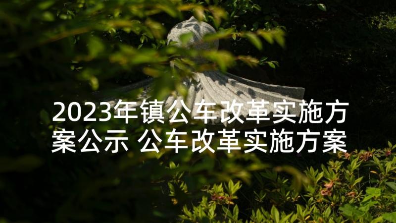 2023年镇公车改革实施方案公示 公车改革实施方案(汇总5篇)