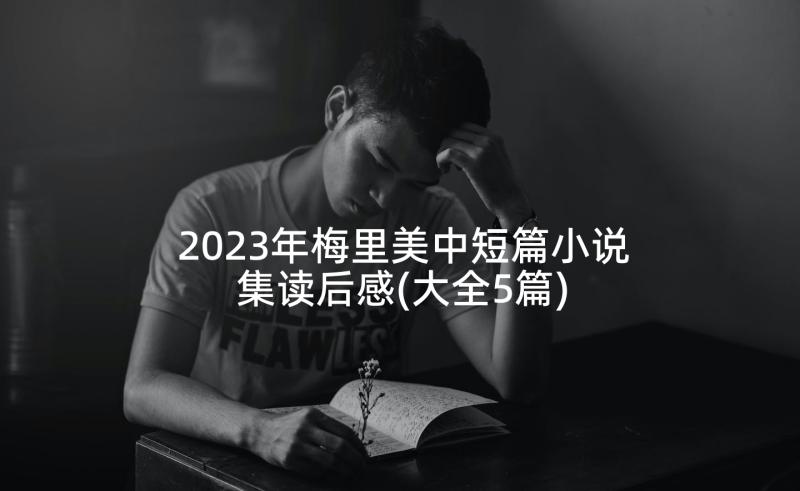 2023年梅里美中短篇小说集读后感(大全5篇)
