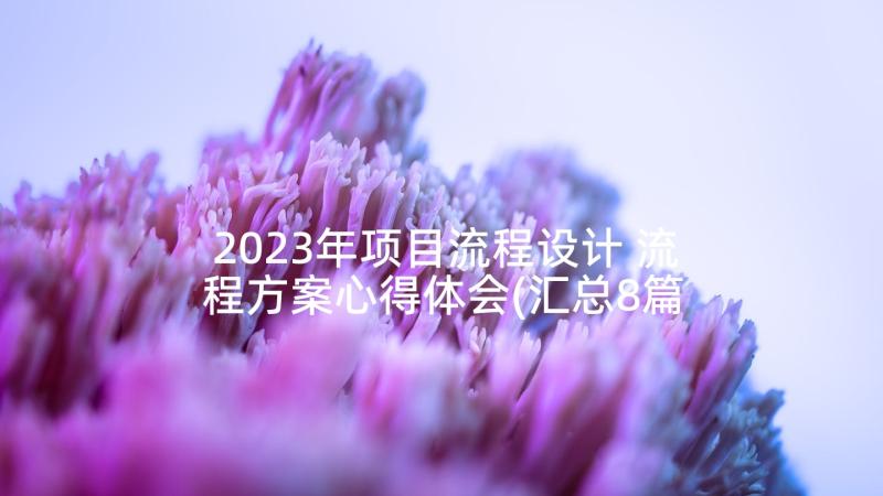 2023年项目流程设计 流程方案心得体会(汇总8篇)