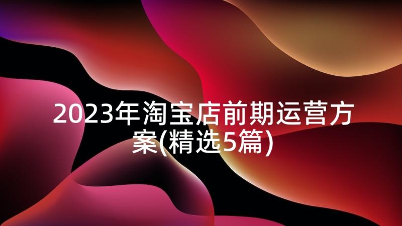 2023年淘宝店前期运营方案(精选5篇)