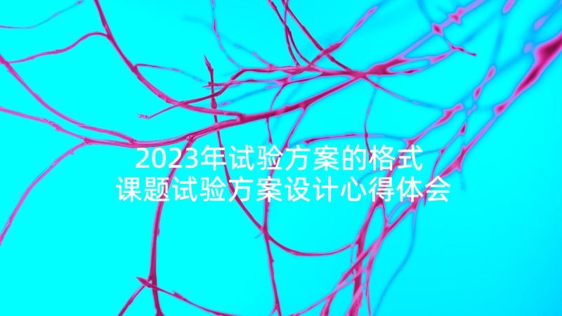 2023年试验方案的格式 课题试验方案设计心得体会(通用5篇)