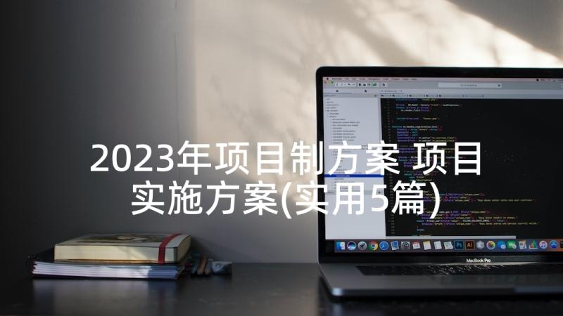 2023年项目制方案 项目实施方案(实用5篇)