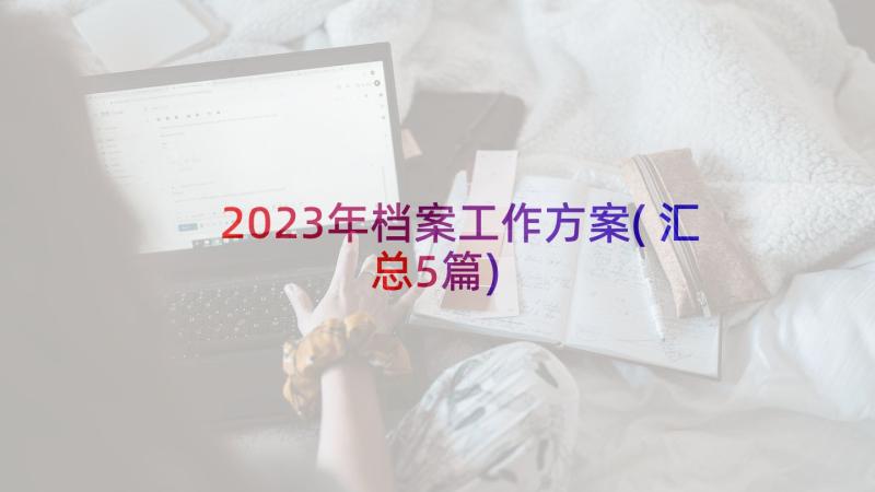 2023年档案工作方案(汇总5篇)