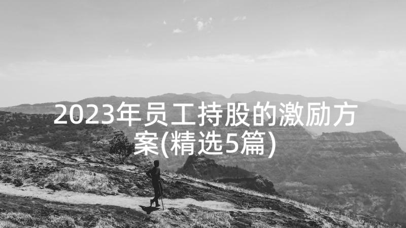 2023年员工持股的激励方案(精选5篇)