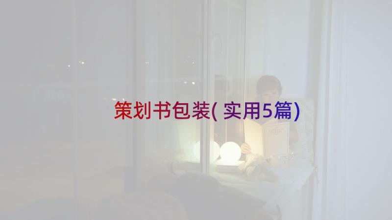 策划书包装(实用5篇)