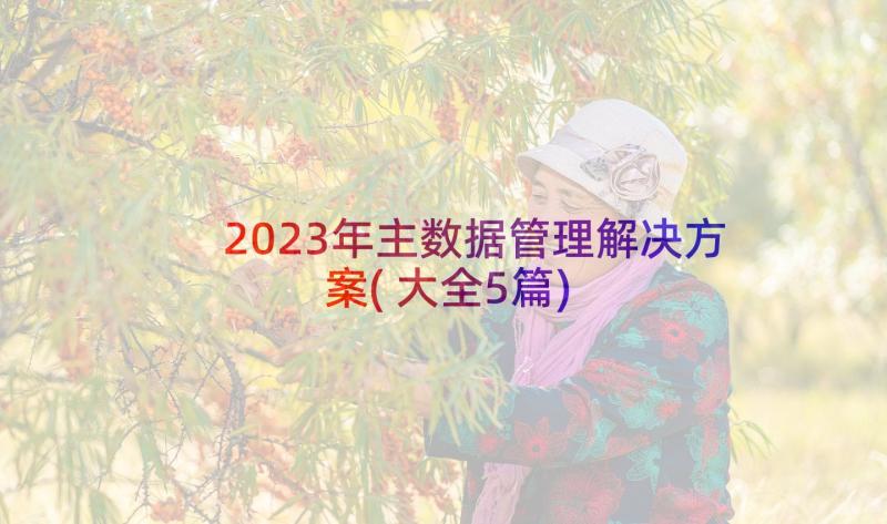 2023年主数据管理解决方案(大全5篇)