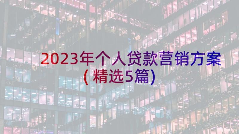 2023年个人贷款营销方案(精选5篇)