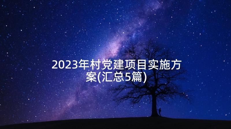 2023年村党建项目实施方案(汇总5篇)