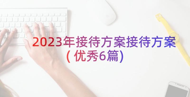 2023年接待方案接待方案(优秀6篇)