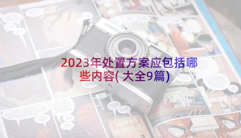 2023年处置方案应包括哪些内容(大全9篇)