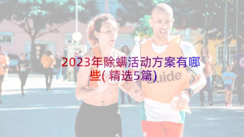 2023年除螨活动方案有哪些(精选5篇)