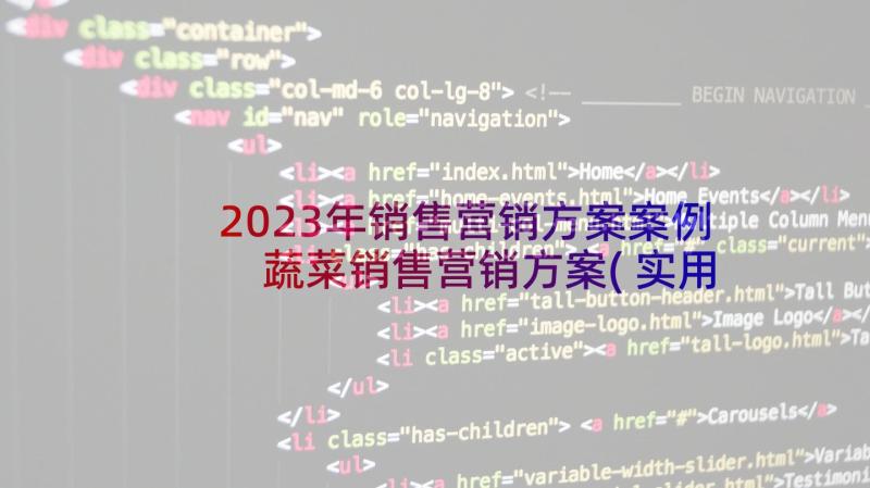 2023年销售营销方案案例 蔬菜销售营销方案(实用5篇)