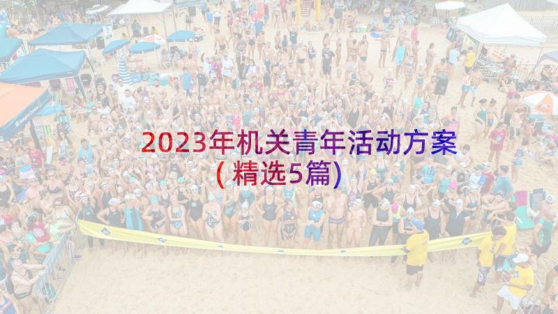 2023年机关青年活动方案(精选5篇)