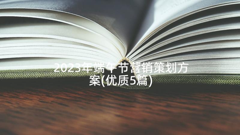 2023年端午节营销策划方案(优质5篇)