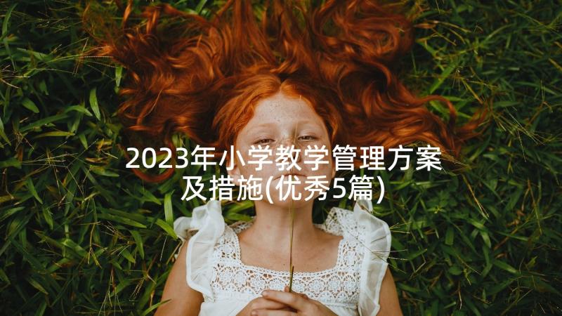 2023年小学教学管理方案及措施(优秀5篇)