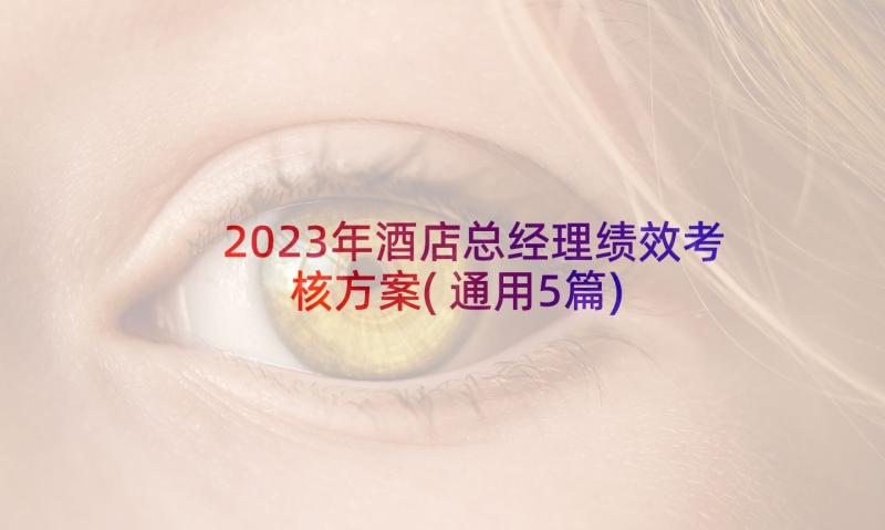 2023年酒店总经理绩效考核方案(通用5篇)