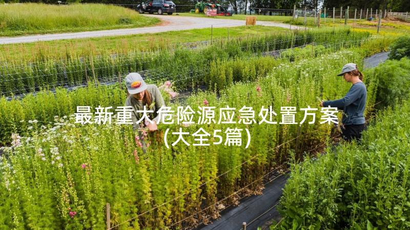 最新重大危险源应急处置方案(大全5篇)