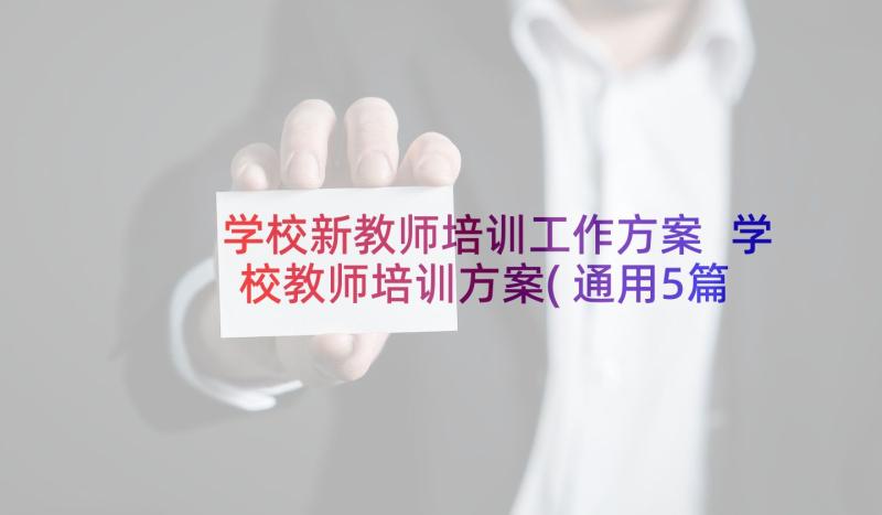 学校新教师培训工作方案 学校教师培训方案(通用5篇)