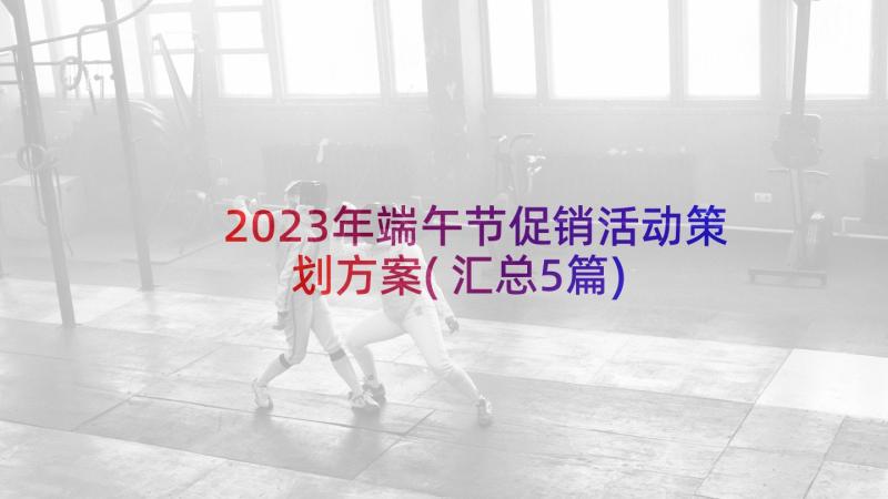 2023年端午节促销活动策划方案(汇总5篇)