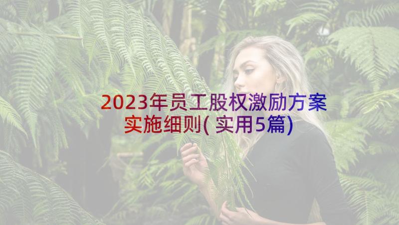 2023年员工股权激励方案实施细则(实用5篇)