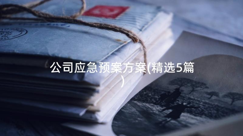 公司应急预案方案(精选5篇)