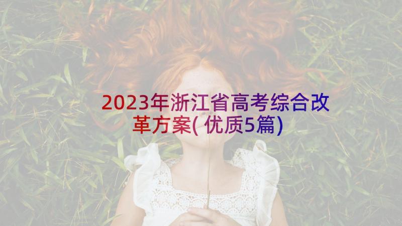2023年浙江省高考综合改革方案(优质5篇)
