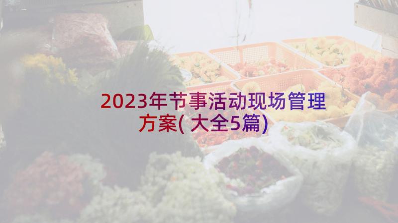 2023年节事活动现场管理方案(大全5篇)