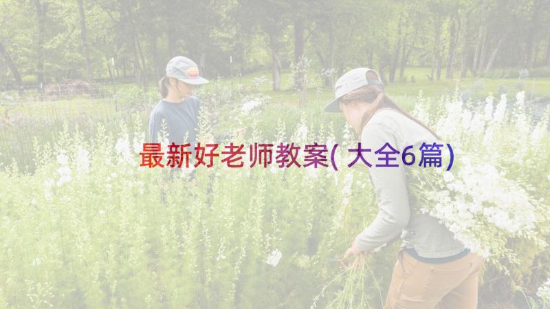 最新好老师教案(大全6篇)