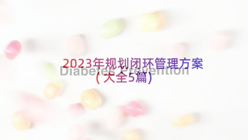 2023年规划闭环管理方案(大全5篇)