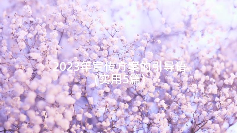 2023年宣传方案的引导语(实用5篇)