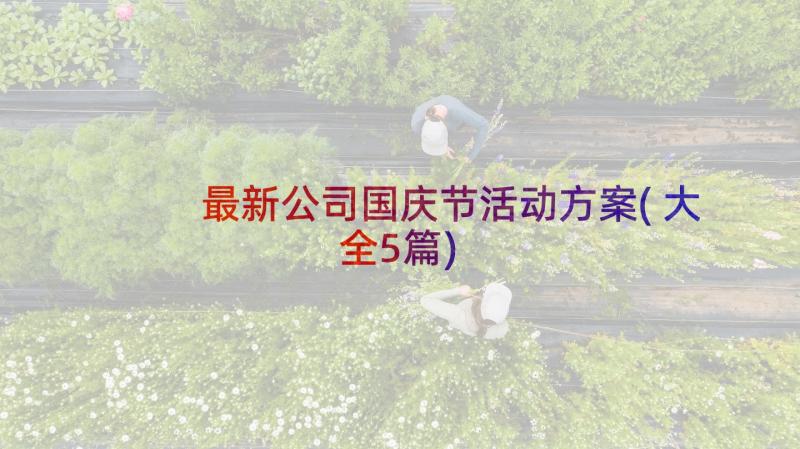 最新公司国庆节活动方案(大全5篇)