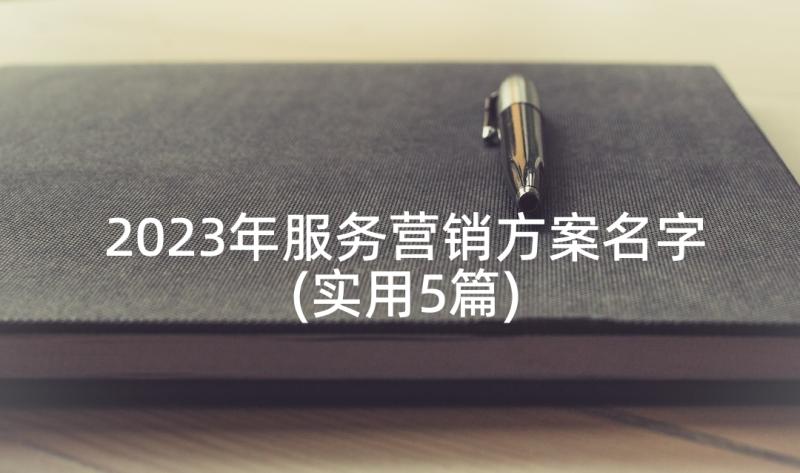 2023年服务营销方案名字(实用5篇)