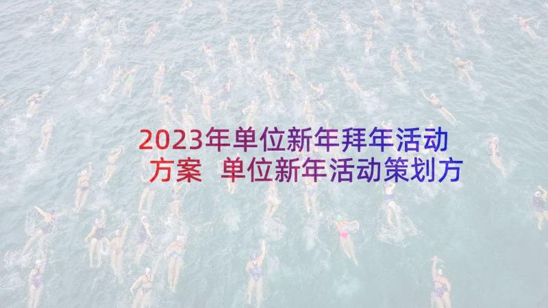 2023年单位新年拜年活动方案 单位新年活动策划方案(模板5篇)