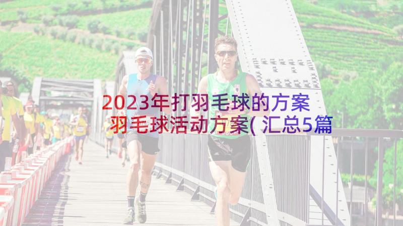 2023年打羽毛球的方案 羽毛球活动方案(汇总5篇)