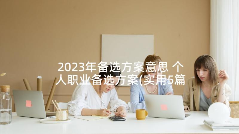 2023年备选方案意思 个人职业备选方案(实用5篇)