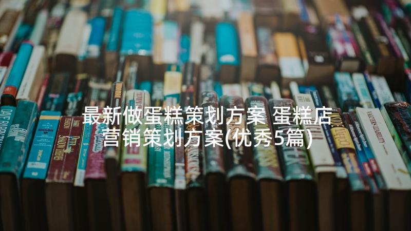 最新做蛋糕策划方案 蛋糕店营销策划方案(优秀5篇)