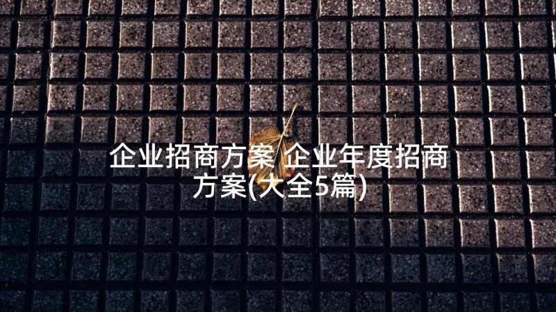 企业招商方案 企业年度招商方案(大全5篇)