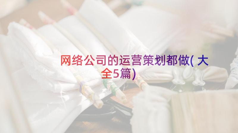 网络公司的运营策划都做(大全5篇)