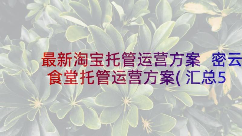 最新淘宝托管运营方案 密云食堂托管运营方案(汇总5篇)