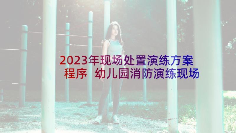 2023年现场处置演练方案程序 幼儿园消防演练现场处置方案(优秀5篇)