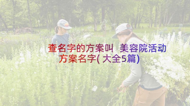 查名字的方案叫 美容院活动方案名字(大全5篇)