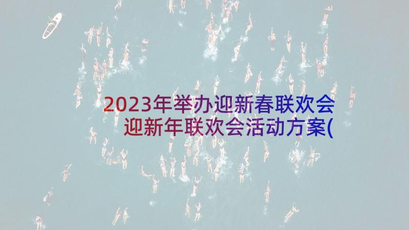 2023年举办迎新春联欢会 迎新年联欢会活动方案(实用6篇)