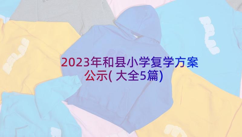 2023年和县小学复学方案公示(大全5篇)