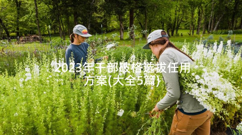 2023年干部破格选拔任用方案(大全5篇)