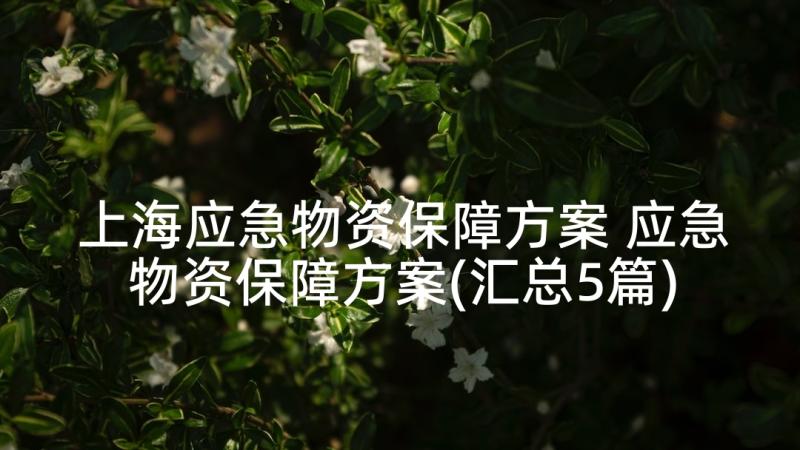 上海应急物资保障方案 应急物资保障方案(汇总5篇)