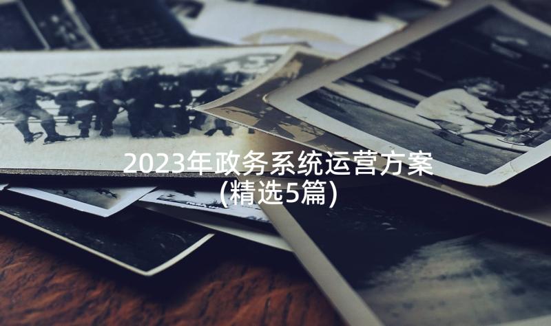 2023年政务系统运营方案(精选5篇)