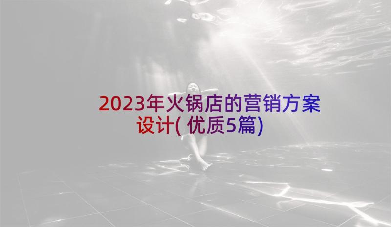 2023年火锅店的营销方案设计(优质5篇)