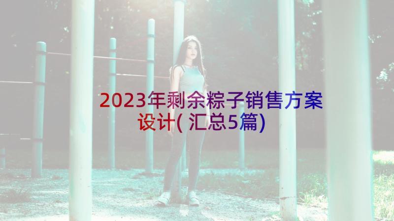 2023年剩余粽子销售方案设计(汇总5篇)