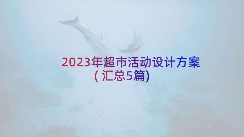 2023年超市活动设计方案(汇总5篇)