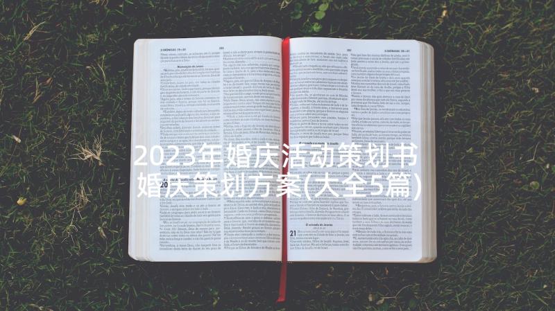 2023年婚庆活动策划书 婚庆策划方案(大全5篇)